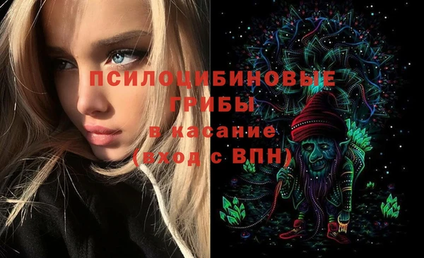 a pvp Алексеевка