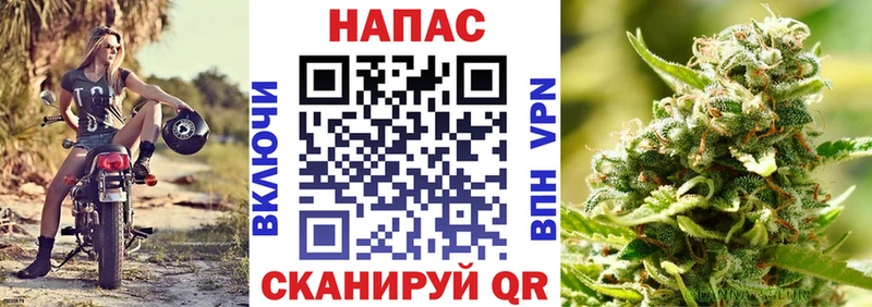 где купить   ссылка на мегу ССЫЛКА  Каннабис Amnesia  Далматово 